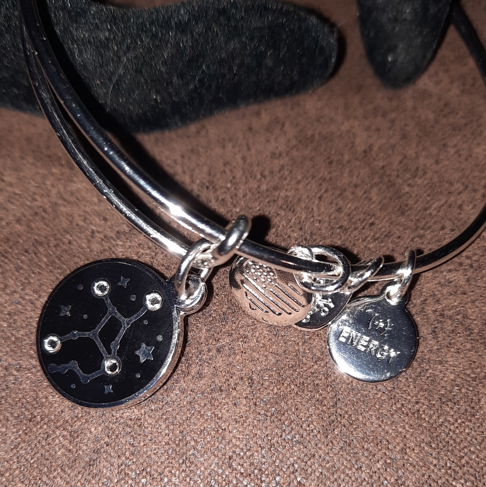 Alex and Ani Color Virgo Zodiac Charm Bangle Shiny Silvertone Finish